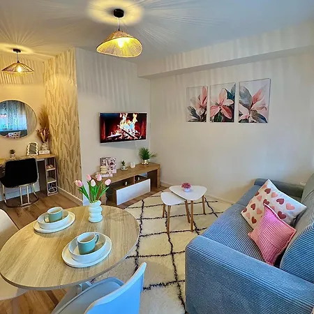 Studio, T2 Ou T3 Au Coeur De La Clermont-Ferrand