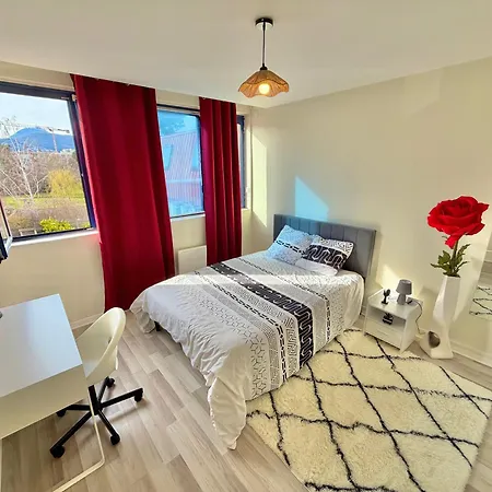 Studio, Coeur De La Clermont-Ferrand