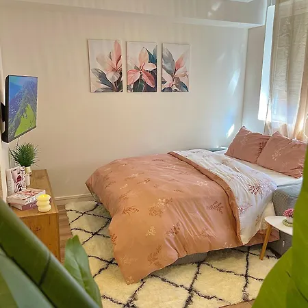 Studio, T2 Ou T3 Au Coeur De La Apartamento