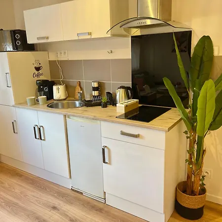 Studio, T2 Ou T3 Au Coeur De La *