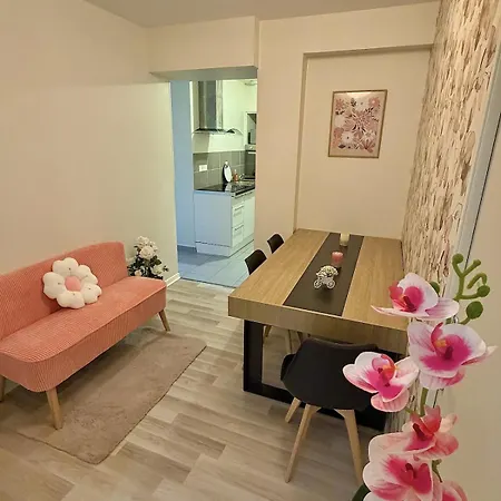 Studio, T2 Ou T3 Au Coeur De La *