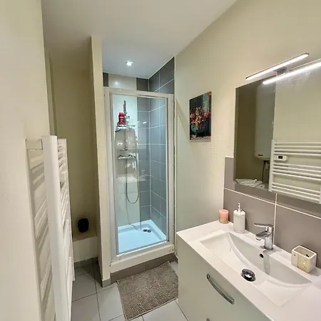 Studio, T2 Ou T3 Au Coeur De La Apartment *