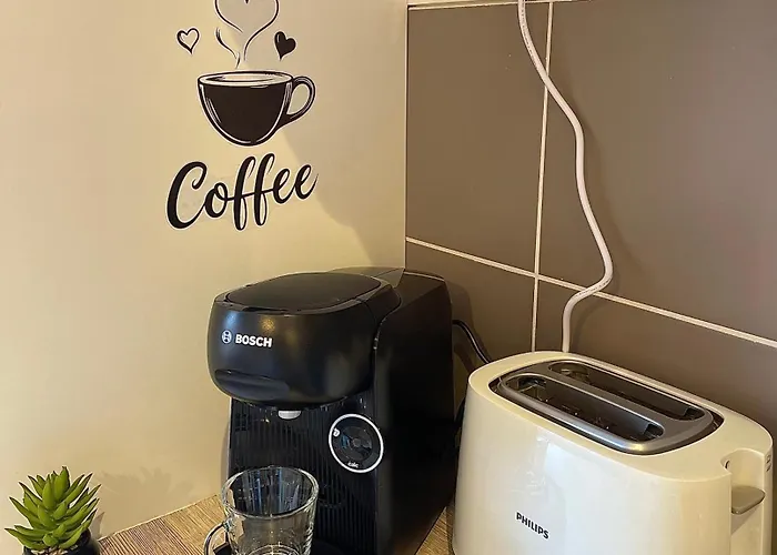 Studio, T2 Ou T3 Au Coeur De La