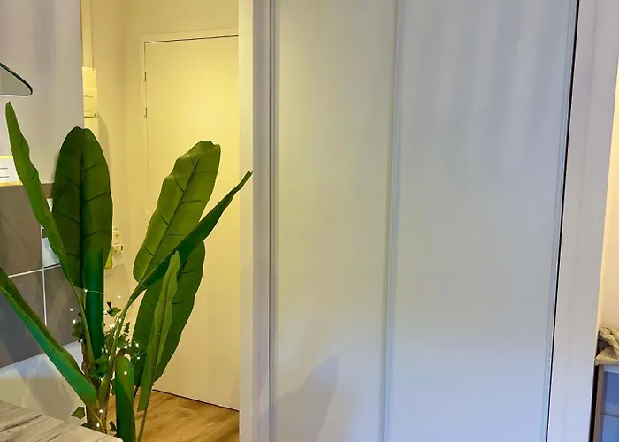 Studio, T2 Ou T3 Au Coeur De La Apartment *