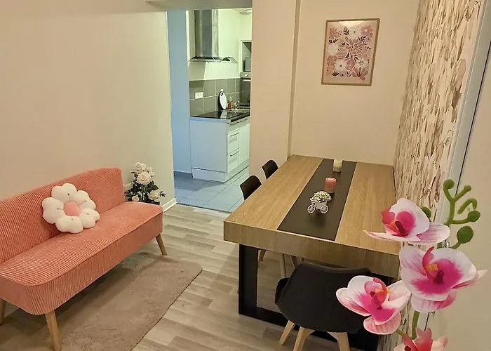 Studio, T2 Ou T3 Au Coeur De La *