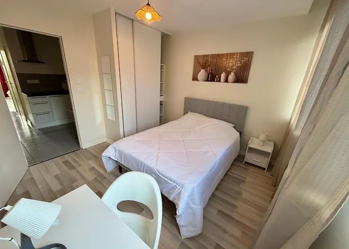 Apartment Studio, T2 Ou T3 Au Coeur De La