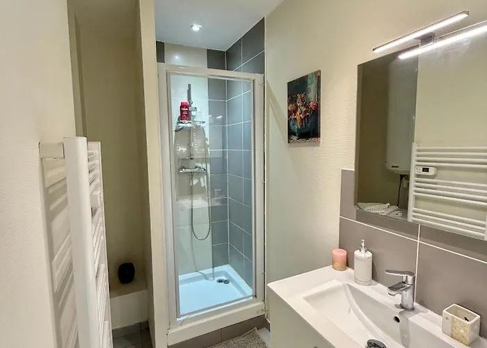 Studio, T2 Ou T3 Au Coeur De La Apartment *